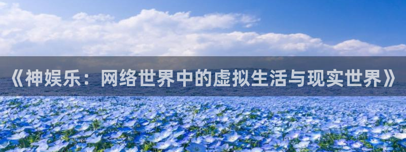 卧龙娱乐怎么样：《神娱乐：网络世界中的虚拟生活与现实世界》