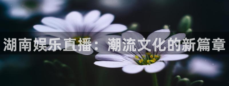 卧龙娱乐怎么样：湖南娱乐直播：潮流文化的新篇章