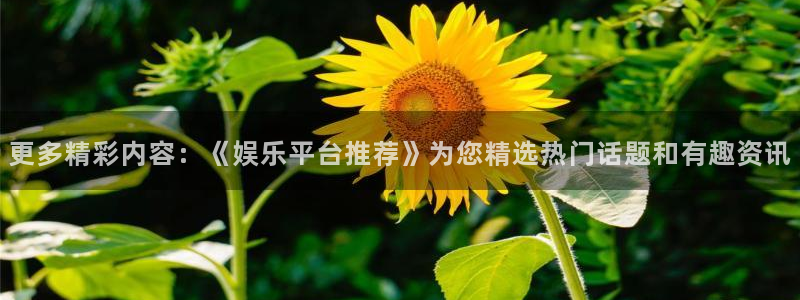 卧龙娱乐怎么样：更多精彩内容：《娱乐平台推荐》为您精选热门话题和有趣资讯