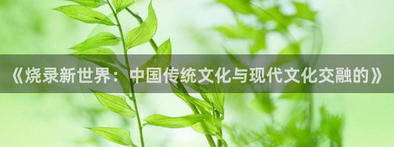 卧龙娱乐登录入口：《烧录新世界：中国传统文化与现代文化交融的》