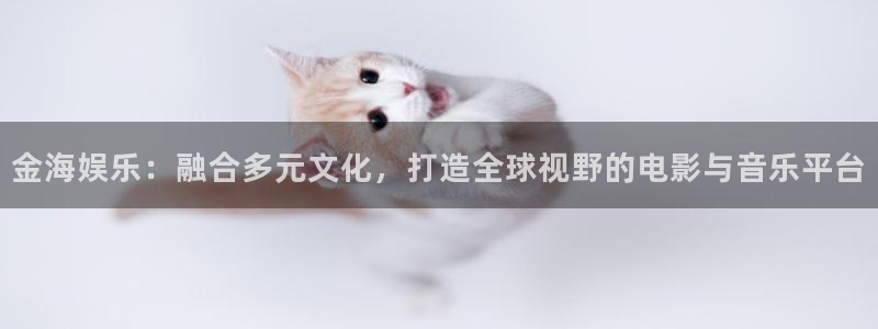 卧龙娱乐：金海娱乐：融合多元文化，打造全球视野的电影与音乐平台