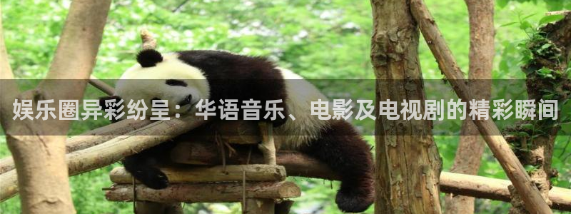 卧龙娱乐：娱乐圈异彩纷呈：华语音乐、电影及电视剧的精彩瞬间