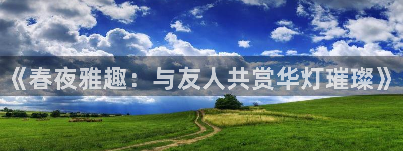 卧龙娱乐怎么样：《春夜雅趣：与友人共赏华灯璀璨》