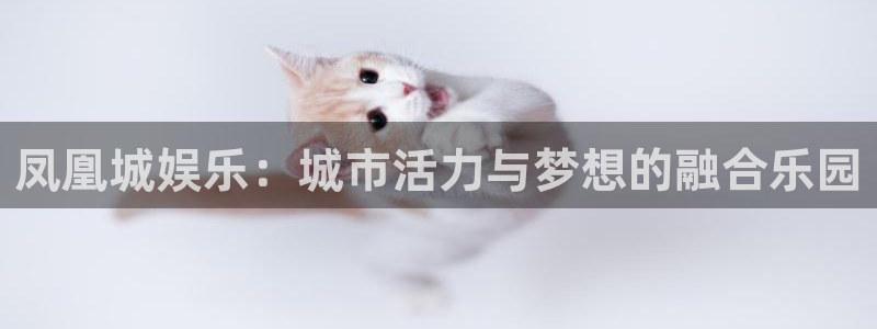 卧龙娱乐登录入口：凤凰城娱乐：城市活力与梦想的融合乐园