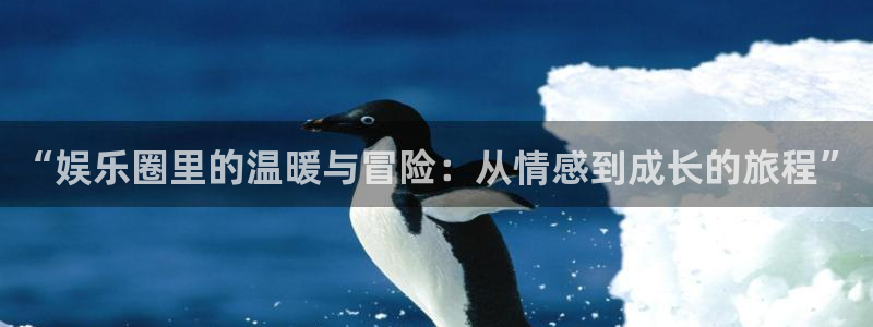 卧龙娱乐怎么样：“娱乐圈里的温暖与冒险：从情感到成长的旅程”