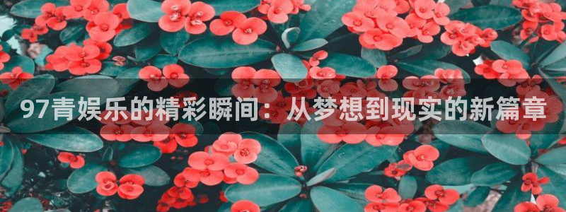 卧龙娱乐怎么样：97青娱乐的精彩瞬间：从梦想到现实的新篇章